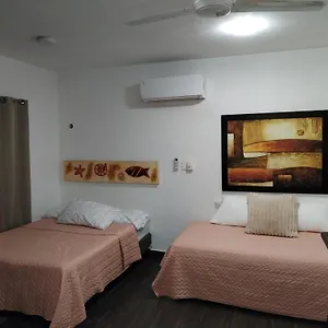 Estudio Zona Centro Cerca De La Terminal Ado Cancun
